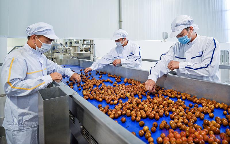 Dự án Cơ sở, sản xuất, chế biến rau củ quả tại CCN huyện Krông Búk, huyện Krông Búk, tỉnh Đắk Lắk